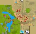 Forest Field 1